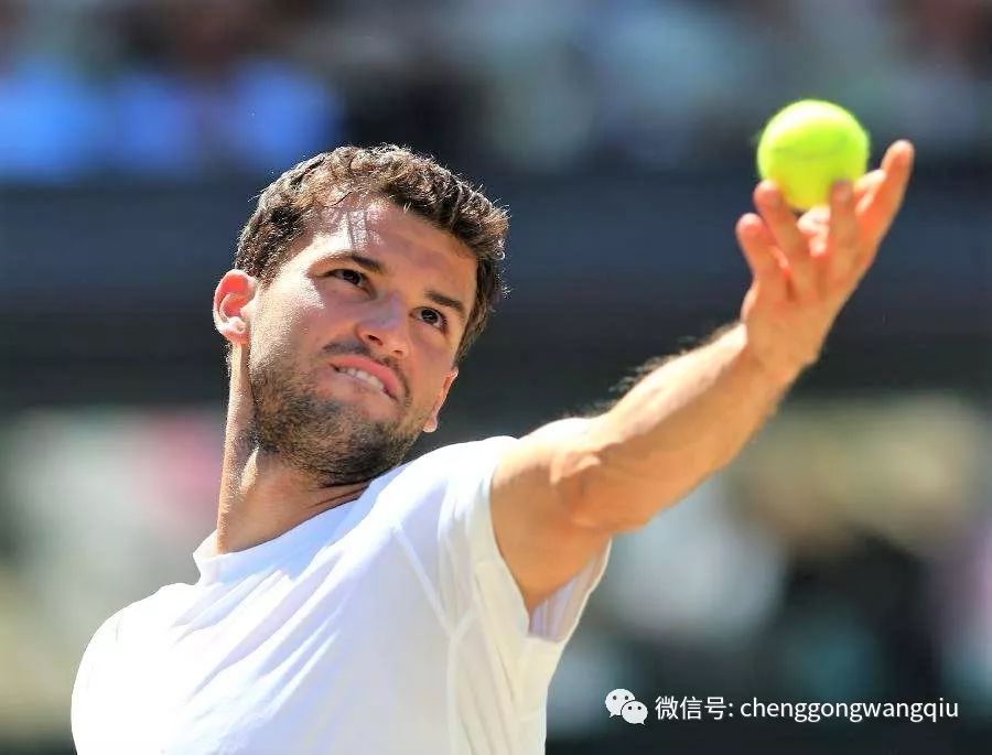 强势反击 强势反击